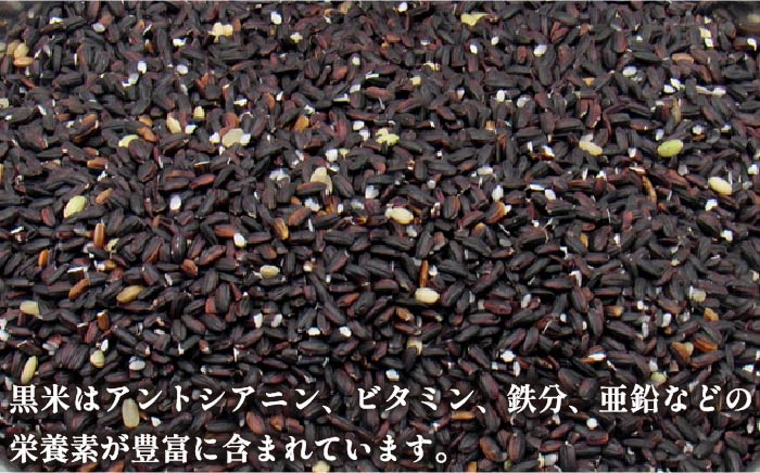 【予約受付】古代米 黒米 赤米 緑米 計3kg (3種各1kg) 原の辻遺跡《壱岐市》【天下御免】 [JDB126] 14000 14000円