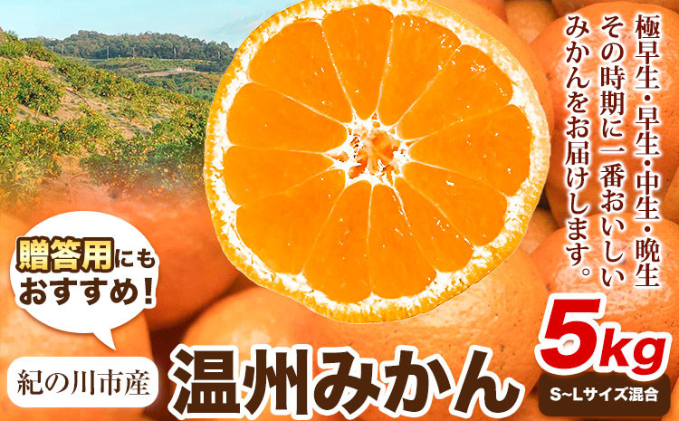 
                  贈答用にもおすすめ 温州みかん 5kg (S～Lサイズ混合) 和田果樹園【先行予約】《11月上旬-2027年2月上旬頃出荷》 和歌山県 紀の川市 みかん ミカン 果物 フルーツ 温州みかん 贈答用 送料無料
                