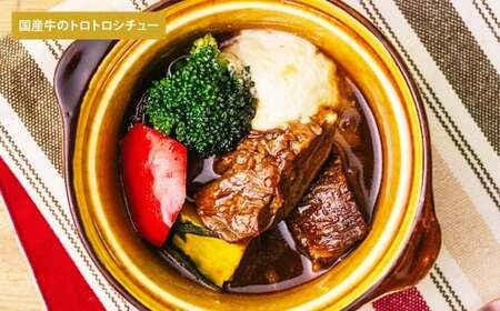 【 毎日の食事にちょい足し 】 ぶどうの樹の 「 健康応援ごはん 」 乳酸菌が摂れる＆バランス 4食セット 冷凍 おかず 簡単 時短 料理 すっぽんスープ コラーゲン シチュー 国産牛 シュウマイ し