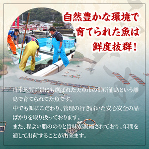 S106-028_鯛のかつ/4パック