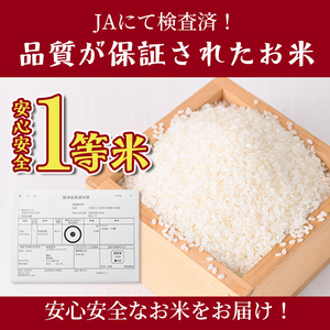 【E7107】《定期便・全4回》上士別清流米 ゆめぴりか (5kg×4回・計20kg) 米 お米 精米 白米 北海道米 ごはん ゆめぴりか 北海道産 士別産 5kg 20kg 定期便 【合同会社T&M