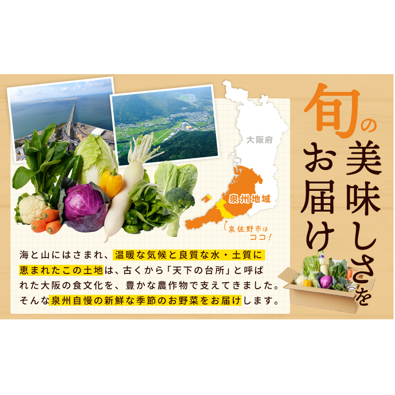 季節の泉州野菜 12種 おまかせセット ピクルスの素 2袋付き いずみピクルス NSW 010B1549_イメージ2