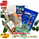 【ふるさと納税】【毎月定期便】三陸の海の恵みをご自宅で手軽に!三陸パック&ひとめぼれ米2合セット全11回【配送不可地域：離島】【4051798】