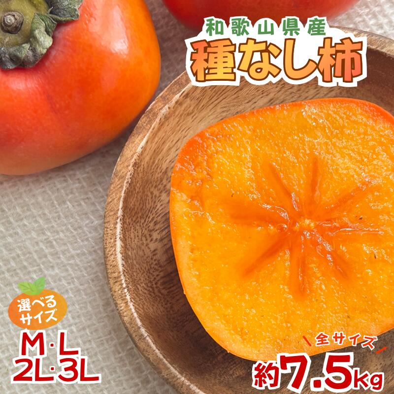 【ふるさと納税】採れたてタネなし柿“M～3Lサイズ”7.5kg＜2026年10月中旬～10月下旬頃発送予定＞ | フルーツ 果物 くだもの 食品 人気 おすすめ 送料無料 先行予約 数量限定 種無し たねなし かき