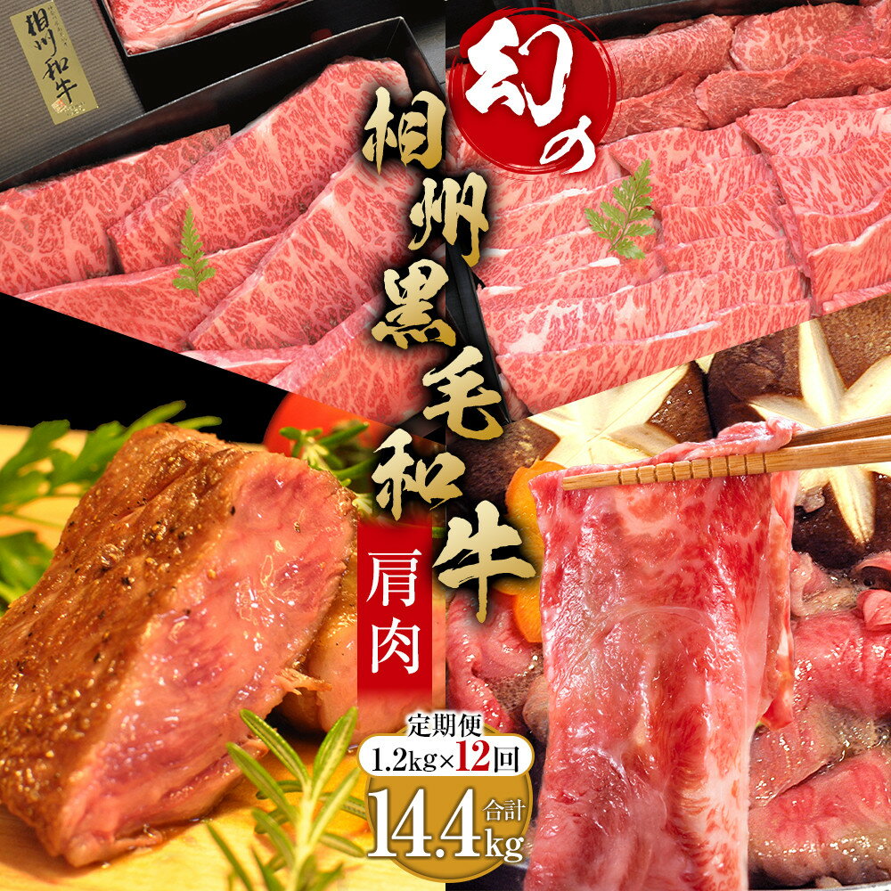 牛肉 定期便 12回 幻の相州黒毛和牛肩肉 1.2kg×12回 計14.4kg【 相州牛 相州和牛 神奈川県 小田原市 】