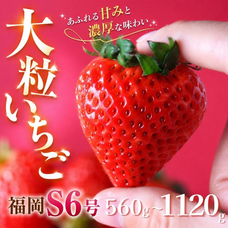 【ふるさと納税】2027年発送 完熟いちご 福岡S6号 選べる2パック/4パック（DXパック）送料無料 みなみのいちご園 いちご 生いちご イチゴ 苺 甘い 福岡S6号 560g 1120g人気 大人気 おすすめ 静岡 果物 フルーツ 甘い 南伊豆町産 農家直送 静岡県 静岡