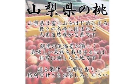 5-95 南アルプス市産高糖度　桃 約2kg【5～8玉】