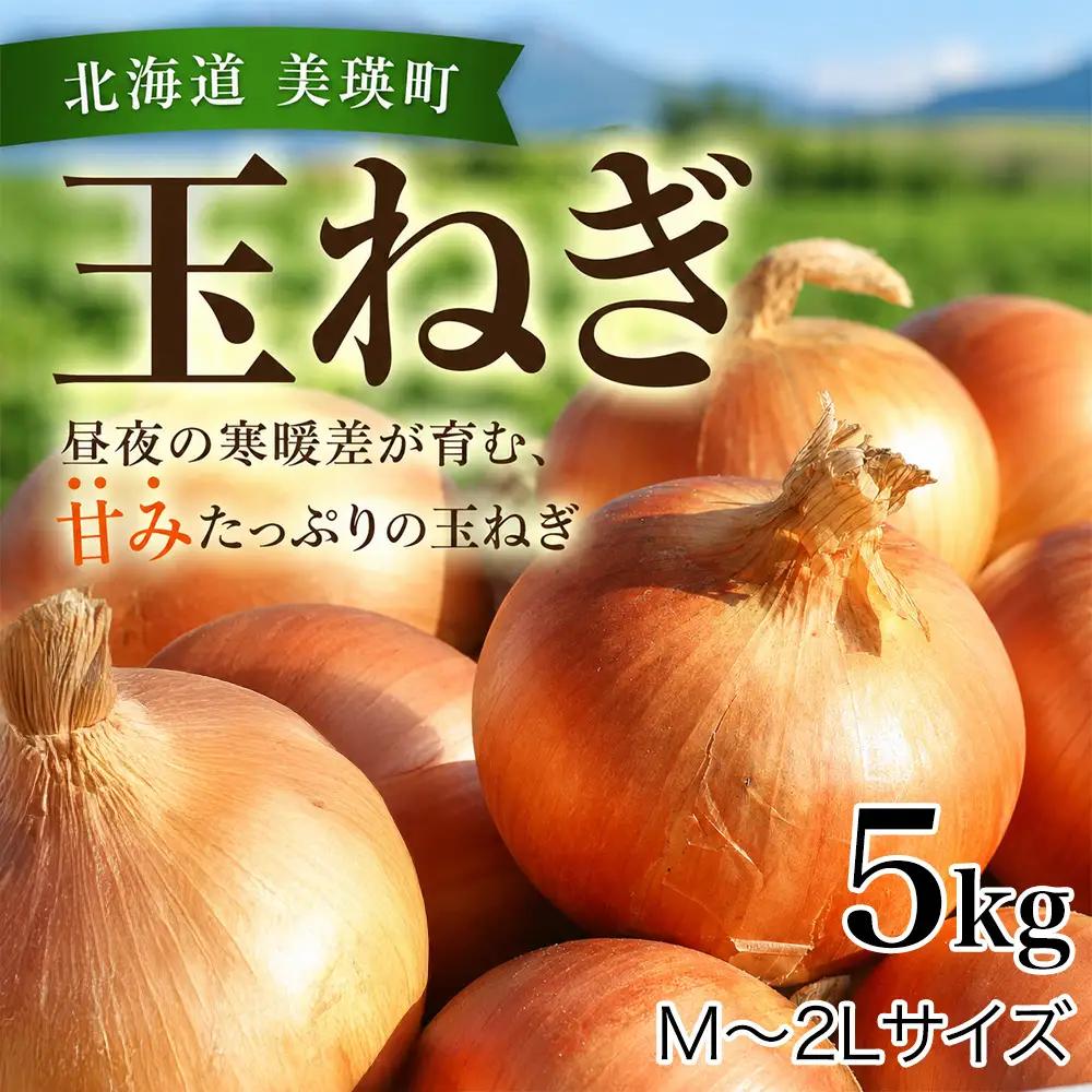 【先行予約】北海道 玉ねぎ 5kg ＜令和8年産＞ おおとり 2026年10月上旬より順次発送
