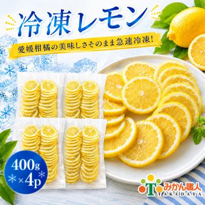ふるさと納税 愛南町 冷凍レモン 400g×4袋 冷凍柑橘 みかん職人武田屋