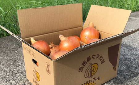 淡路島産玉ねぎ 5kg 野菜 淡路島産 玉ねぎ 玉葱 甘い 兵庫県 洲本市 淡路島