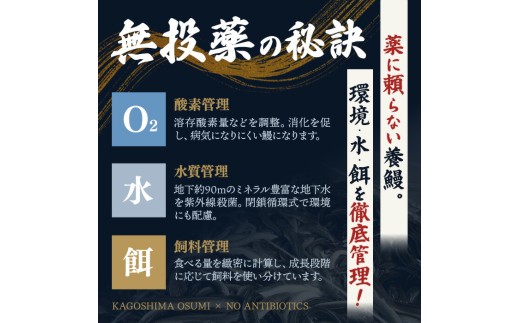 ＜隔月定期便・全3回＞鹿児島県産うなぎ蒲焼 (約186g×3尾×3回) 鰻 ウナギ うなぎ【薩摩川内鰻】 T91