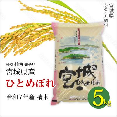 ふるさと納税 宮城県 【ひとめぼれ】宮城県産 令和7年産 精米 5kg(5kg×1袋)