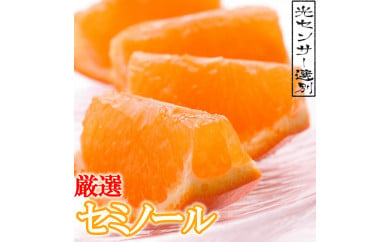 ＜4月より発送＞厳選 セミノールオレンジ5kg+150g（傷み補償分）【有田の春みかん】【有田産】【光センサー食べ頃出荷】