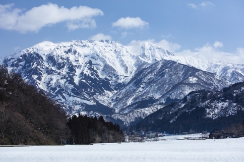八海山本格米焼酎　オーク樽貯蔵「風媒花」720ml×1本