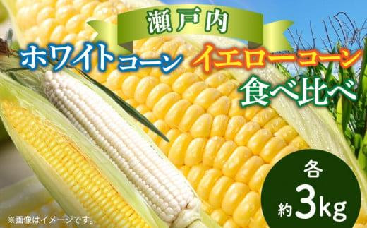 瀬戸内ホワイトコーン・イエローコーン食べ比べ 各約3kg【2027-6月中旬～2027-7月中旬配送】