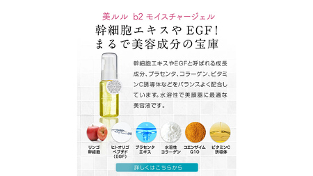 【ギフト対応可】超音波 ウォーターピーリング 【 NEW 美ルル アクアルファ 】 グロッシィホワイト EMS 美顔器 クレンジング 美容 イオン 振動 エステ ウォーターピーリング パッティング L