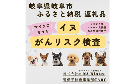 イヌ がんリスク検査【大切な家族のために】&nbsp;ペット 検査キット 早期発見 岐阜市 / 株式会社e-NA Biotec[ANHE002]