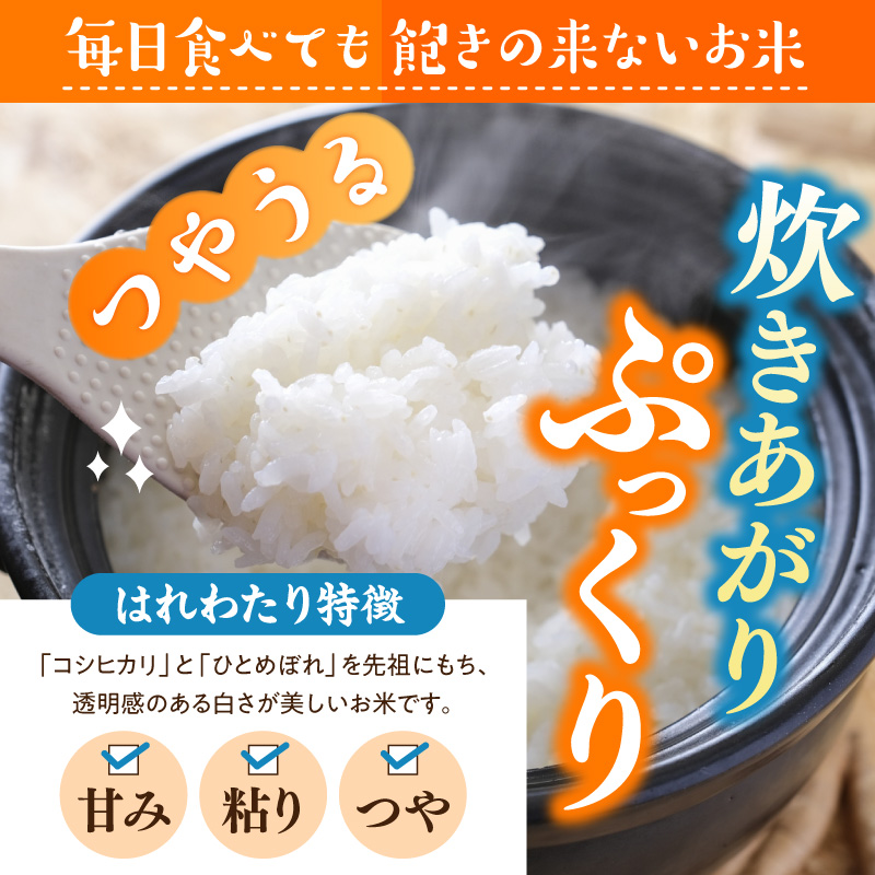 令和7年産 米 5㎏ はれわたり 青森県産 （精米） 【 青森県 五所川原市 白米 お米 コメ こめ 5キロ 】