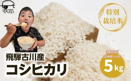 《先行予約》 令和8年産 定期便 飛騨産 特別栽培米 こしひかり 白米 5kg×6か月 計30kg コシヒカリ 新米 お米 米 精米 ごはん ご飯 特A 単一原料米 定期 定期便 5キロ 6か月 6回 半年 ソイル 飛騨市