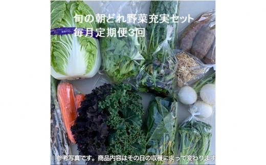 
            旬の朝どれ野菜充実セット×3回 ／ やさい 朝採れ 埼玉県
          