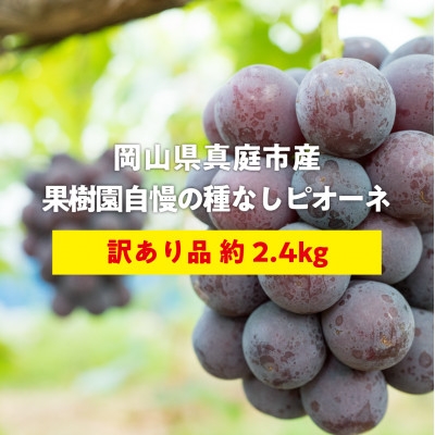 
            ＜きよとうファーム＞訳あり品 種なしで甘い葡萄の王様「ピオーネ」 /約2.4kg(岡山県産)【1602470】
          