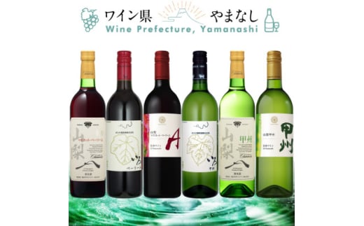 これぞ山梨 「GI山梨」認証ワイン 6本セット【1607485】