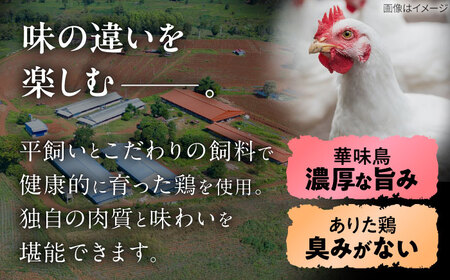 博多水炊き 食べ比べ2種セット 2-3人前【上田商店・華味鳥】[BGAD071]水炊きセット