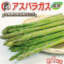 【ふるさと納税】 訳あり アスパラガス さぬきのめざめ アスパラ さぬき 1kg 夏芽 ロング