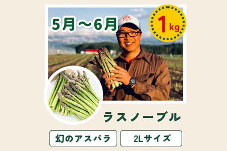 【令和８年産予約受付！】令和8年産 美瑛の四季 野菜 定期便【唐松】3回便 | アスパラ メロン とうもろこし 送料無料 セット 人気 おすすめ ランキング 野菜 3か月 3回便 3回[052-12]