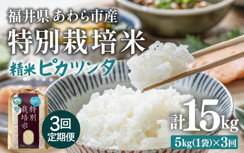 
            【先行予約】【令和7年産】定期便 ≪3ヶ月連続お届け≫ 化学肥料不使用 特別栽培米 ピカツンタ 精米 5kg × 3回（合計15kg） / 白米 米 福井県あわら市産 美味しい 特別栽培米 減農薬 安心な米 旨味 甘み もっちり 冷蔵保管米 ※2025年10月上旬より順次発送 [aw010-c004]
          