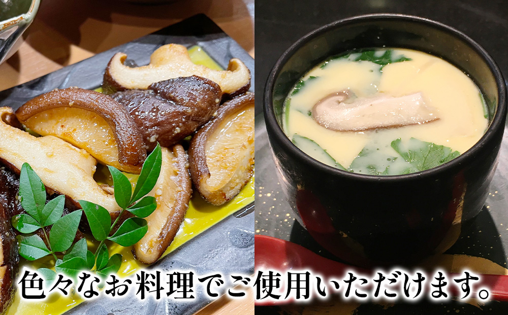 最高級 大分県産 花どんこ椎茸 380g 花どんこ 山のあわび 乾燥椎茸 乾燥 しいたけ 干し椎茸 乾し椎茸 乾燥野菜 大分県 津久見市 九州産野菜 熨斗対応