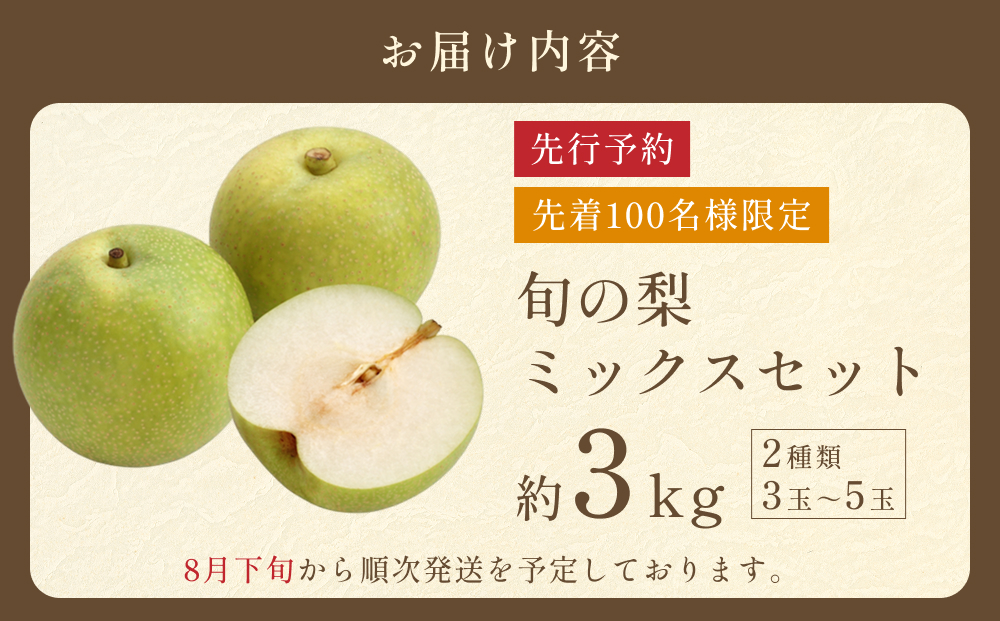先行予約 品種はおまかせ2種類 旬の梨ミックス 3kg｜鳥取 果物 フルーツ なし 梨【41042】