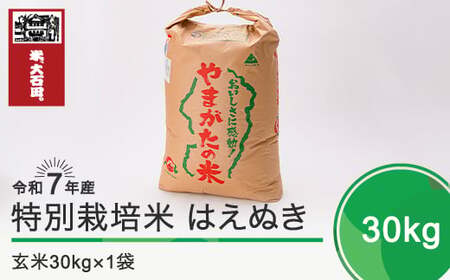 新米 米 はえぬき 30kg 令和7年産 【2026年2月上旬発送】大石田町産 特別栽培米 玄米 備蓄 防災 支援 農家 キャンプ 長期保存 先行予約 ※沖縄・離島への配送不可 ja-hagxa30-2f