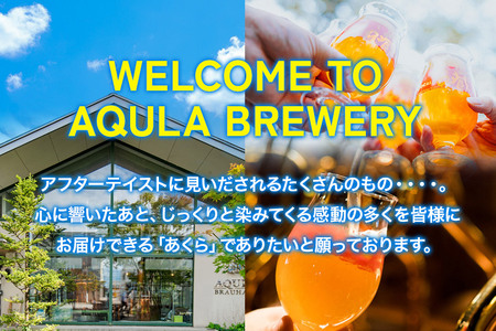 《定期便10ヶ月》【秋田の地ビール】秋田あくらビール なまはげIPA 12本セット(330ml×計12本)