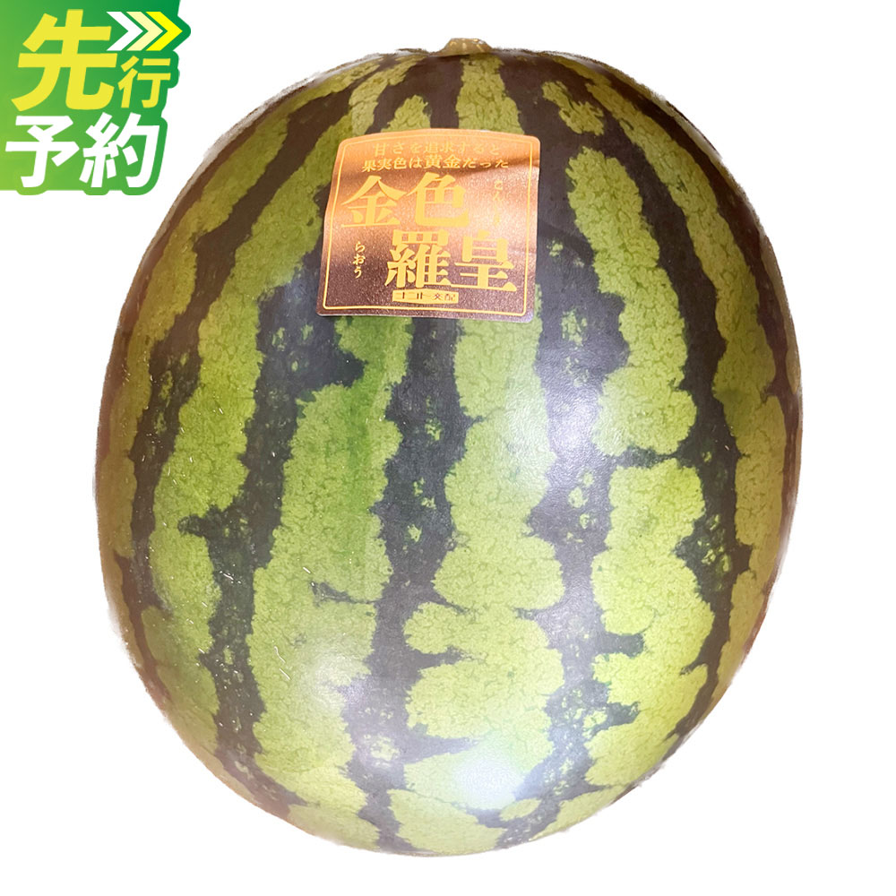 【ふるさと納税】 金色羅皇 1玉入り （8kg以上） 西瓜 すいか 果物 くだもの 果実 フルーツ おやつ 先行予約 熊本県産 国産 常温 送料無料 【2027年5月上旬～6月上旬迄順次発送予定】