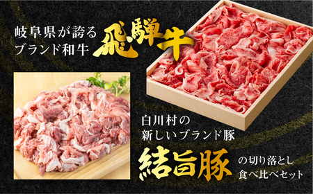 《定期便》全6回 飛騨牛 切り落とし 500g 結旨豚 切り落とし 1.5kg セット 訳あり 等級 部位お任せ 牛 豚 食べ比べ 真空パック 小分け スライス 和牛 牛肉 豚肉 国産 ブランド和牛ブ