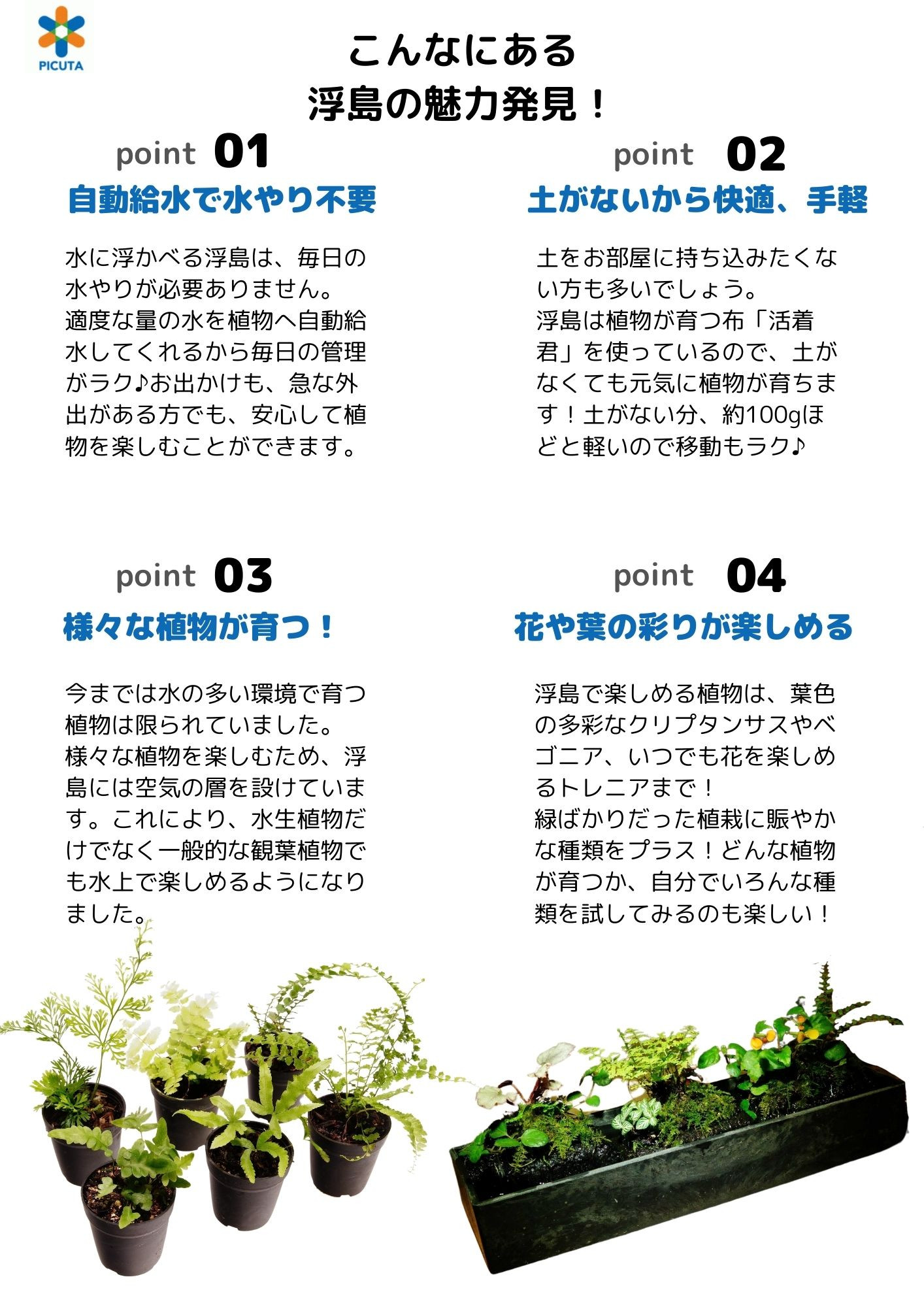 ビオトープ