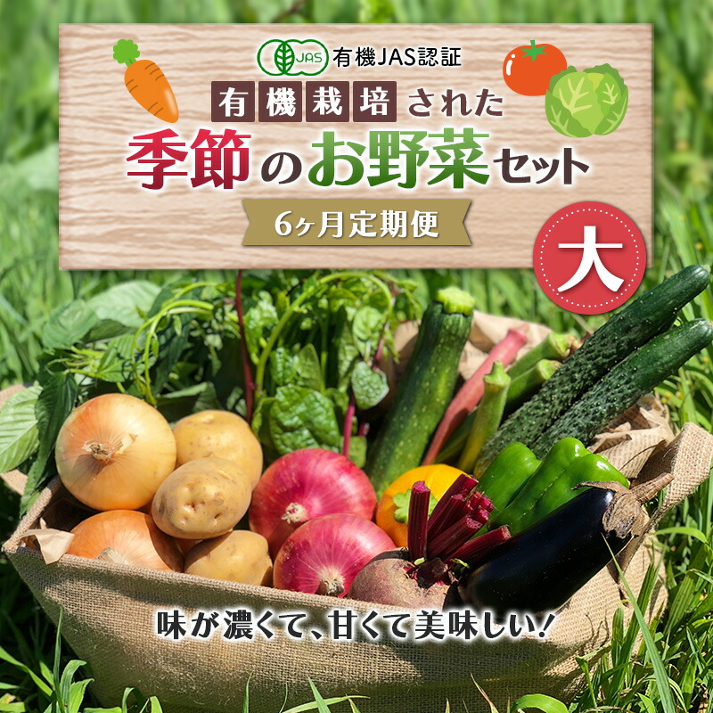 《有機JAS認証》オーガニック 季節のお野菜セット（大）定期便 6ヶ月連続 F23R-831