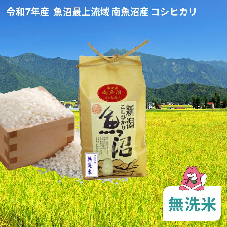 【ふるさと納税】 令和7年産〈無洗米〉 魚沼最上流域 南魚沼産 コシヒカリ 精米したてのお米をお届け 【湯沢産 コシヒカリ】