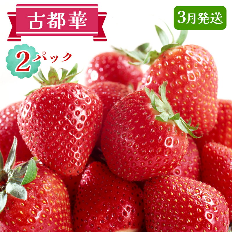 【ふるさと納税】古都華 2パックセット [3月] 発送｜ことか いちご 苺 イチゴ 果物 フルーツ 産地直送 [3232]
