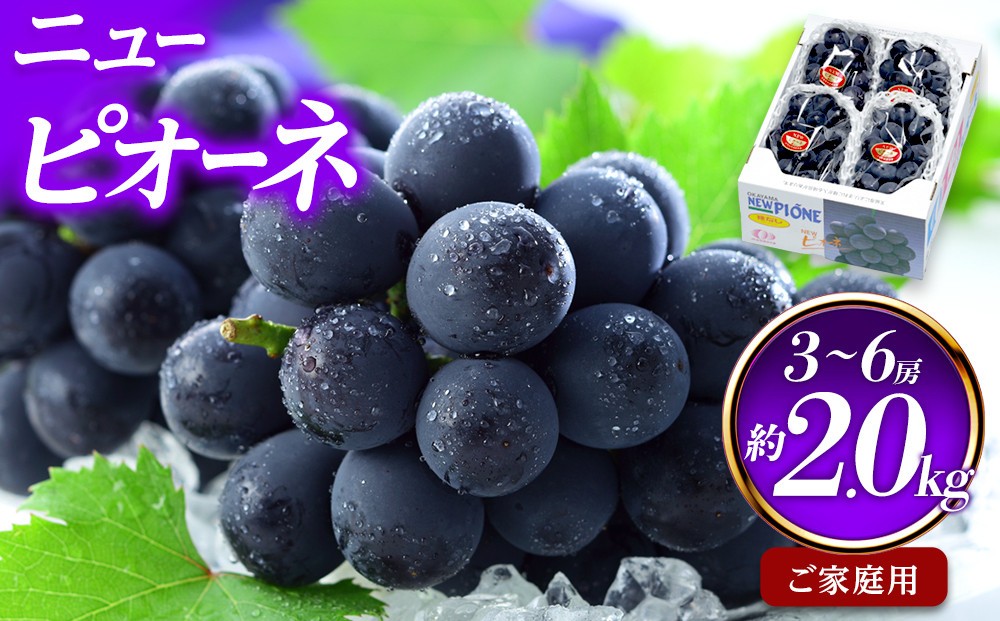 ぶどう 2024年 先行予約 ご家庭用 ニュー ピオーネ 3～6房 約2kg ブドウ 葡萄 岡山県産 国産 フルーツ 果物