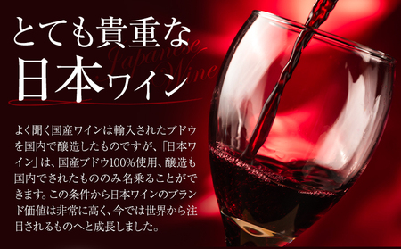 酒 日本ワイン 720ml 1本 矢掛放送 岡山県矢掛町《30日以内に出荷予定(土日祝除く)》 酒 ワイン 国産 ヒロハンブルグ 赤ワイン 国産 ブドウ 100％