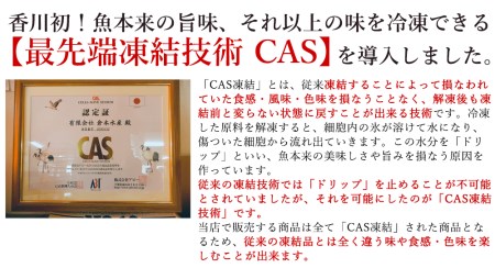 CAS凍結　オリーブサーモン　１尾【B-24】