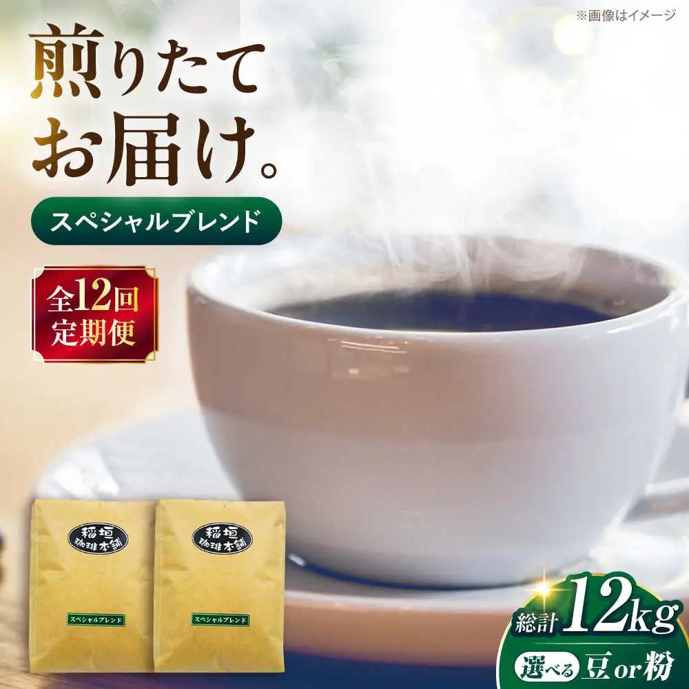 【全12回定期便】スペシャル ブレンド コーヒー 500g×2 中煎り VAS175 珈琲 コーヒー