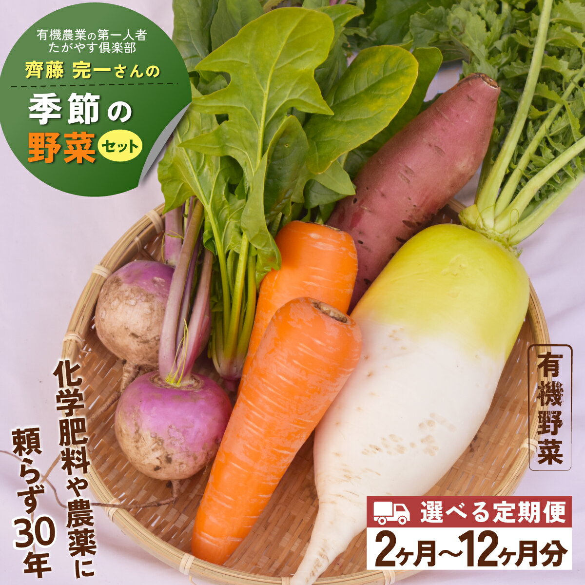 【ふるさと納税】≪選べる定期便≫有機農業の第一人者 たがやす倶楽部 齊藤 完一さんの「季節の野菜セット」　ふるさと納税 野菜 やさい 季節 詰合せ セット 定期便 たがやす農法 安心 美味しい 甘味 千葉県 山武市