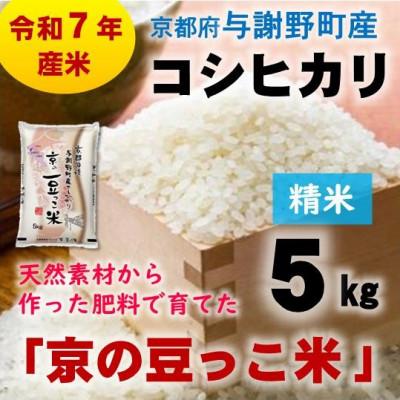 ふるさと納税 与謝野町 令和7年産米　京都府与謝野町産コシヒカリ「京の豆っこ米」精米5kg　山口農園こだわりの特別栽培米