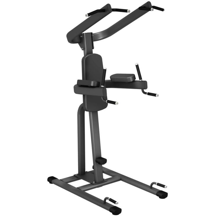 【ふるさと納税】EAGLE G210 チン / ディップ ｜トレーニング フィットネス 器具 筋トレ スポーツ 運動 ダイエット ※北海道・沖縄・離島への配送不可