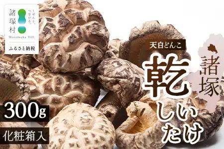 宮崎県諸塚村産 天白どんこ 約300g 化粧箱入り 常温｜干ししいたけ 椎茸 冬菇 肉厚 お煮しめ お鍋 網焼き 原木栽培 CoC認証 高級 希少 もろっこはうす MO-28