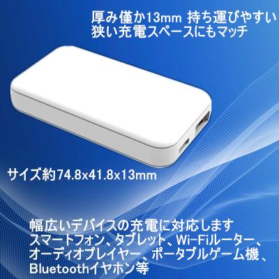 ふるさと納税 泉佐野市 急速充電器 PD 20W USB Type-A&Type-C スマートフォン超薄型 099H3808 |  | 03