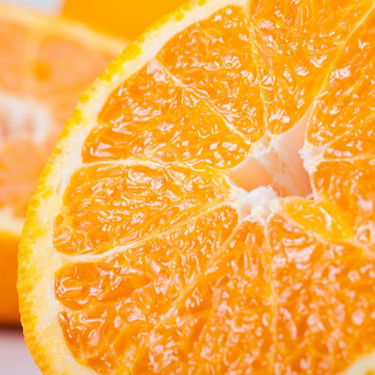 有田育ちの濃厚不知火(ご家庭用) 約7.5kg［先行予約］［MS42］